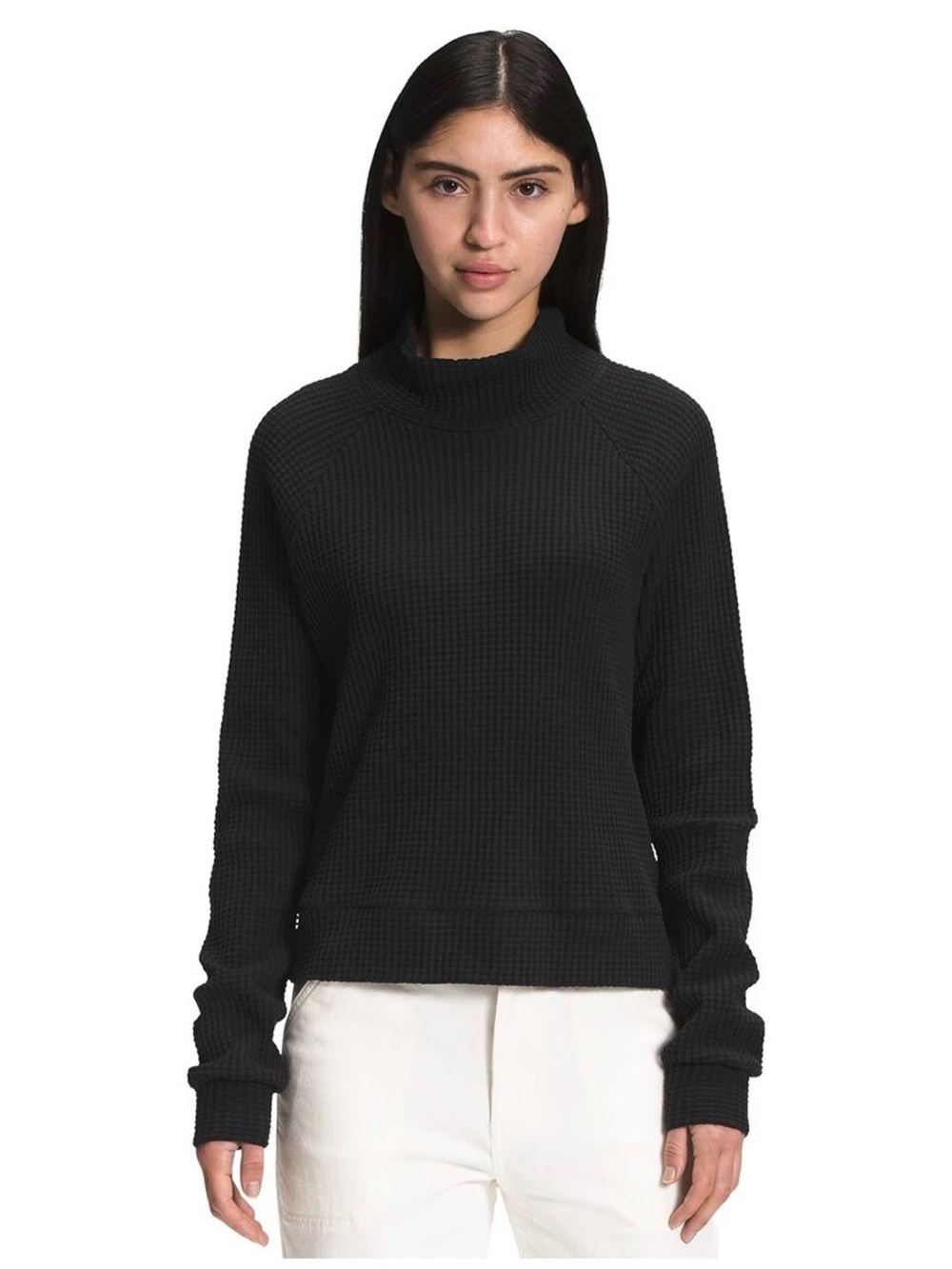 Womens The North Face Long Sleeve Mock Neck Chabot